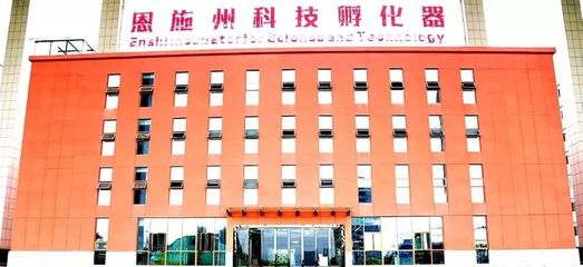 恩施创业扶持政策解读 房租减免与资金支持，创业孵化器助力梦想启航