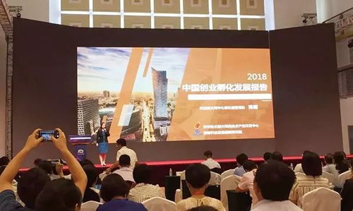 创业孵化 有“创”更得有“孵”，论孵化器管理服务的核心价值